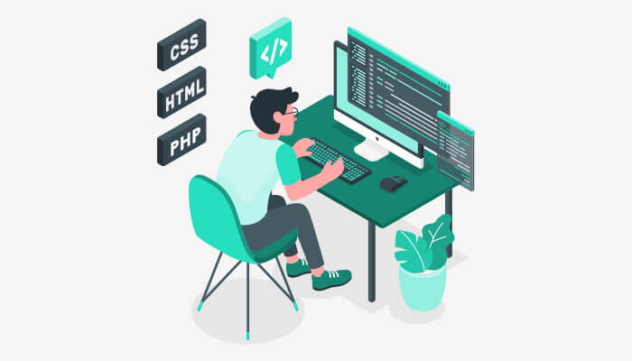 Top Web Development Company